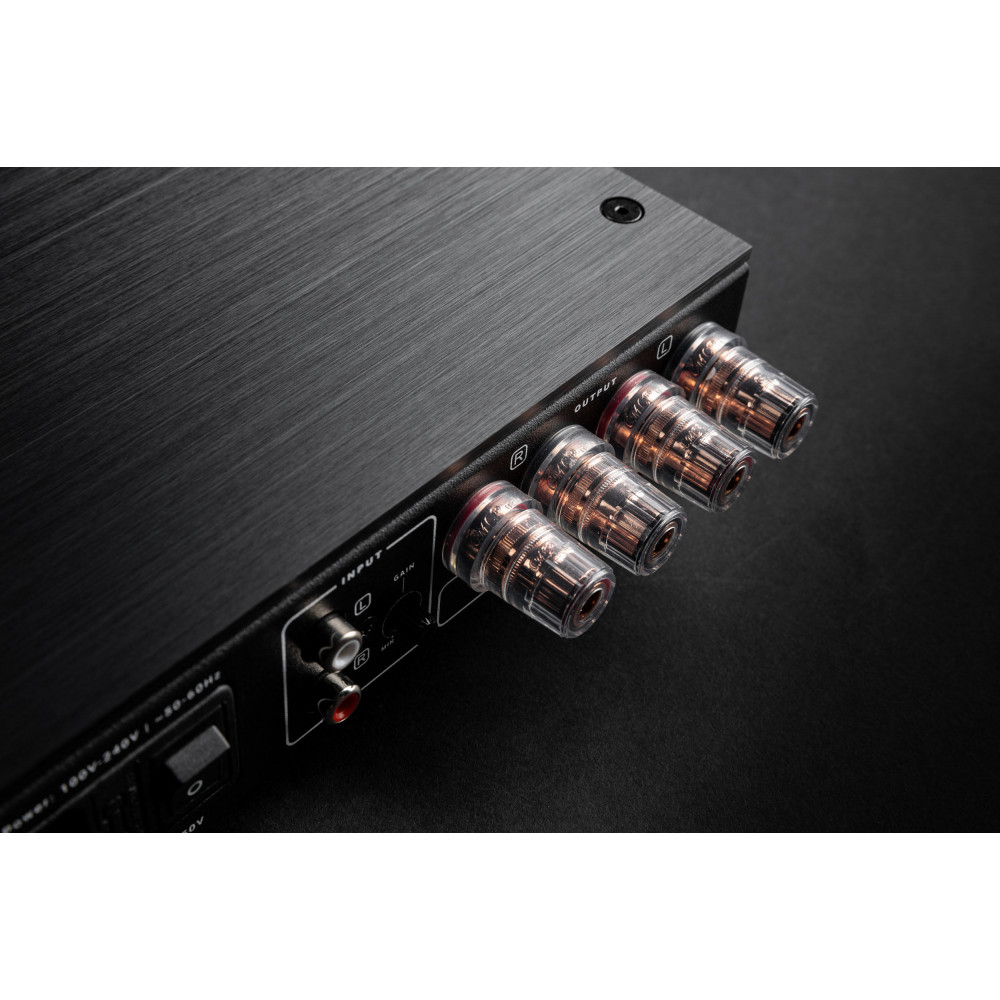 XTZ EDGE A2-300 - Poweramplifier (stereo), Mono amps